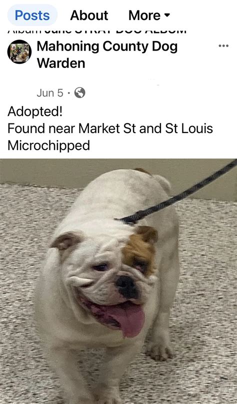 awrddv.com|Facebook .